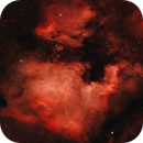 North American Nebula, Bozo