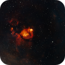 IC1795  Fish Head Nebula,, Reinhold Lamb