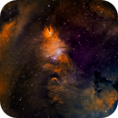 Cone Nebula in Hyperstar, Bozo