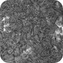 Sun H-alpha: Chromosphere 27.04.2025, Olegs_Astrophotography