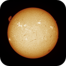 Sun FD in H-Alpha 12th of July 2025 - Colorized, Arne Danielsen