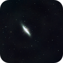 Cigar Galaxy, Bozo