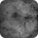 ic1396- Elephant trunk, Bruno