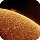 Solar Prominence, Michael Kalika