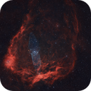 Sh2-129 -  Flying Bat /  OU4 - Squid Nebula - Re-processing, Anders Quist Hermann