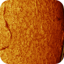 solar prominence in h-alpha taken 14072025, nonsens2