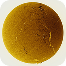 Sun H-alpha inverted (21.06.25), Reinhold Lamb