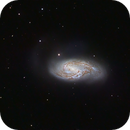 M65 M66 in Leo, Tim Ray