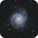M74 - Grand Design Spiral Galaxy, Ivan Raichev