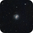 M83 Southern Pinwheel (65mm scope goes galaxy hunting), Gilmour Dickson