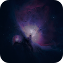 Reshooting the Trapezium Cluster, Catherine Ryan Hyde
