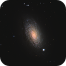 M63 - Galactic Sunflower!, DJ Van Bourgondien