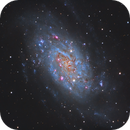 NGC2403, David Wills (PixelSkiesAstro)