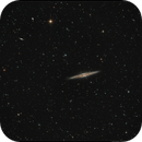 NGC 891 Widefield, Wolfgang Ransburg