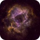Rosette Nebula, Bozo