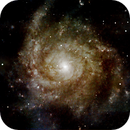 IC 342, Peter Bresler