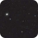 M5, Markice Stephenson
