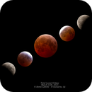 Total Lunar Eclipse March 14, 2025, Denis Labelle