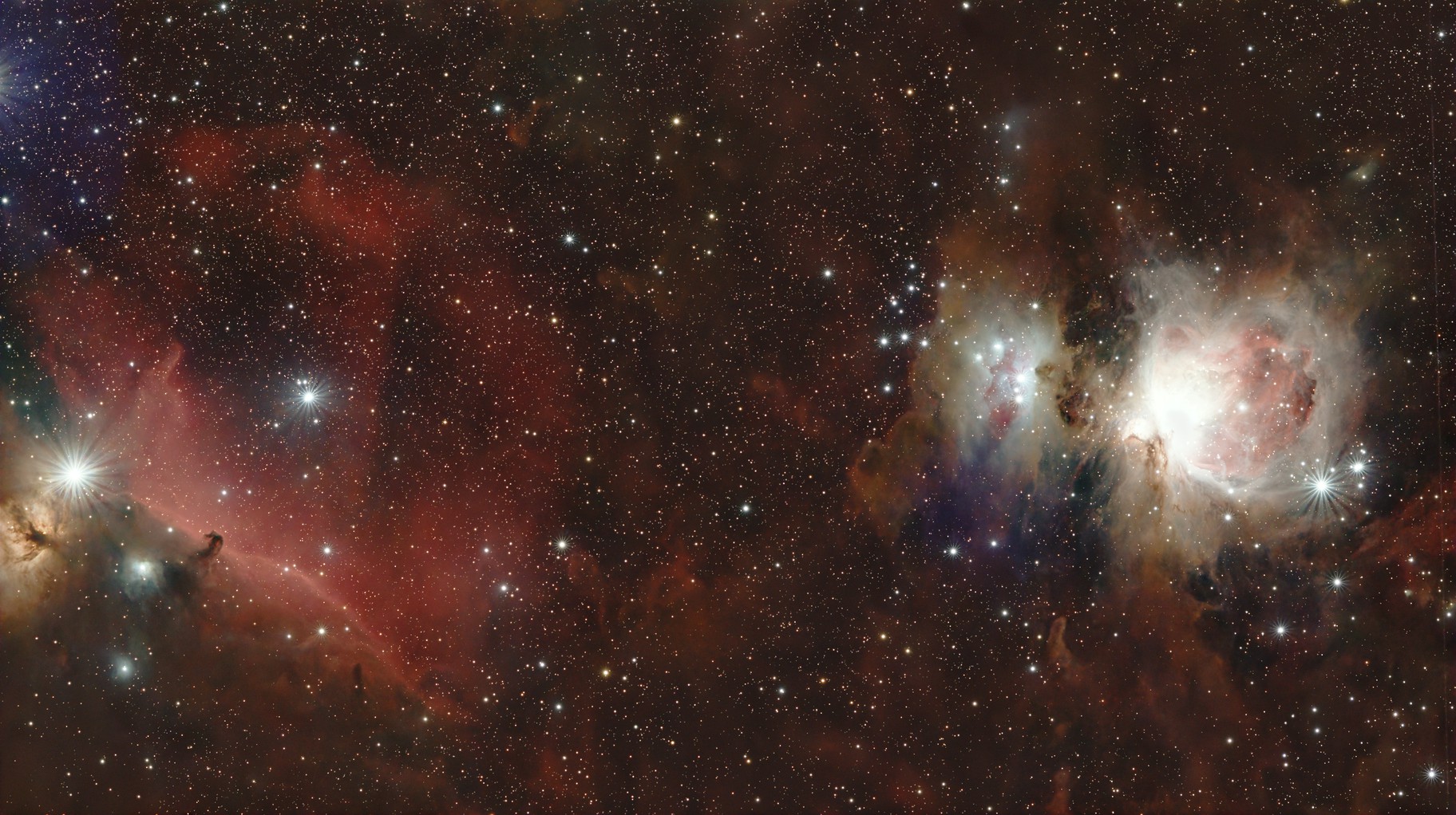 Orion