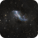 Codd Piece - IC 2574, Timothy Martin