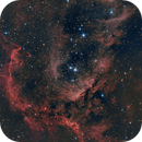 IC1848, Manu Oliva