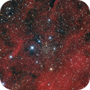 IC 1311, Roberto Marinoni