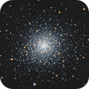 M92, Jan Erik Vallestad