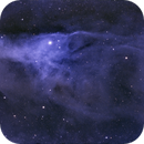 Collaborative effort on IC 4592, the Blue Horsehead, Catherine Ryan Hyde
