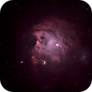 NGC 2174, the Monkey Head, Catherine Ryan Hyde