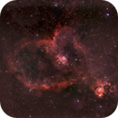 The Heart, Catherine Ryan Hyde