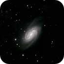 NGC 2903, Peter Bresler