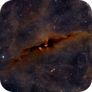 The Cosmic Bat Nebula, LDN 43, Andrew Barton