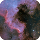 NGC 7000 - North America Nebula in Broadband Light, Colm O'Dwyer