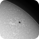 4 jul 25 - 0854ut - g band - ar 4131, Leela.Astro.Imaging