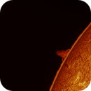 solar prominence in h-alpha taken 29062025, nonsens2