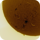 Flares and Solar Activity (H-alpha inverted), Reinhold Lamb