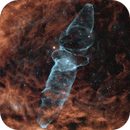 Sh2-129, OU4 - The Flying Bat  & Squid Nebula, Taman