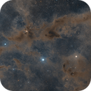 Barnard 228 - The Dark Wolf Nebula, Josh