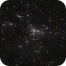 The Coma Galaxy Cluster, Gary