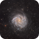 NGC 6946 - The Fireworks Galaxy, Ron