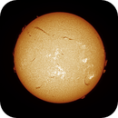 Sun FD in H-Alpha 6th of July 2025 - Colorized, Arne Danielsen