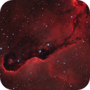 IC 1396a - Elephant's Trunk Nebula (2025), Kurt Zeppetello