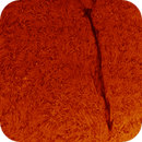 solar filament in h-alpha taken 25062025, nonsens2