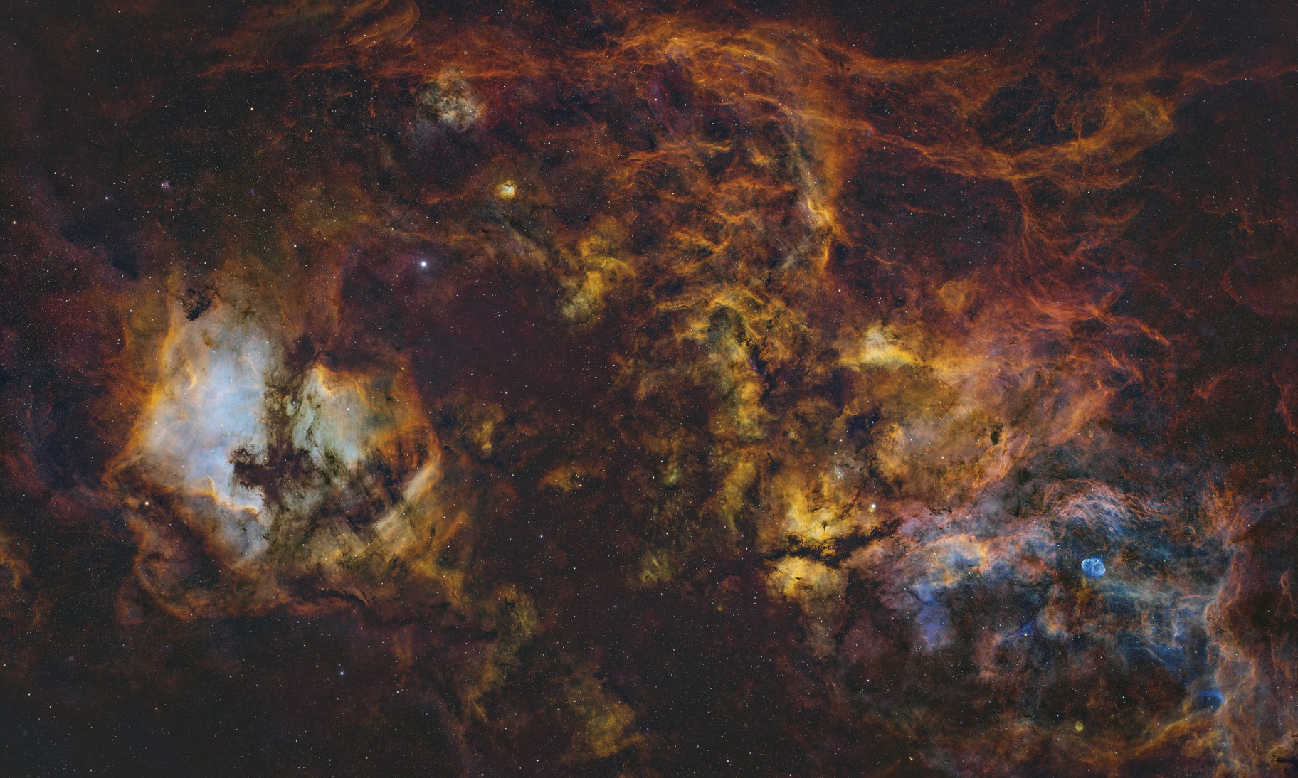 Cygnus - Mosaic out of Milvus135mm and Pleiades 68