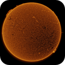 10 Jul 25 - 1108UT - HA - full disk, Leela.Astro.Imaging