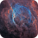RCW 104: A Bevy of Comets Hidden in the Stars, Alex Woronow