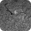 Sun H-alpha: Chromosphere 28.04.2025, Olegs_Astrophotography