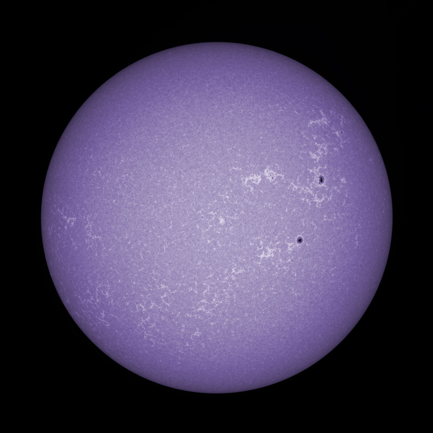 Sun FD in CaK 13th of September 2026 - Colorized
