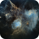 Flaming star, Tadpole, Spider nebulae, Jim