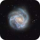M83 - The Southern Pinwheel -, Tryggve Dyrvik